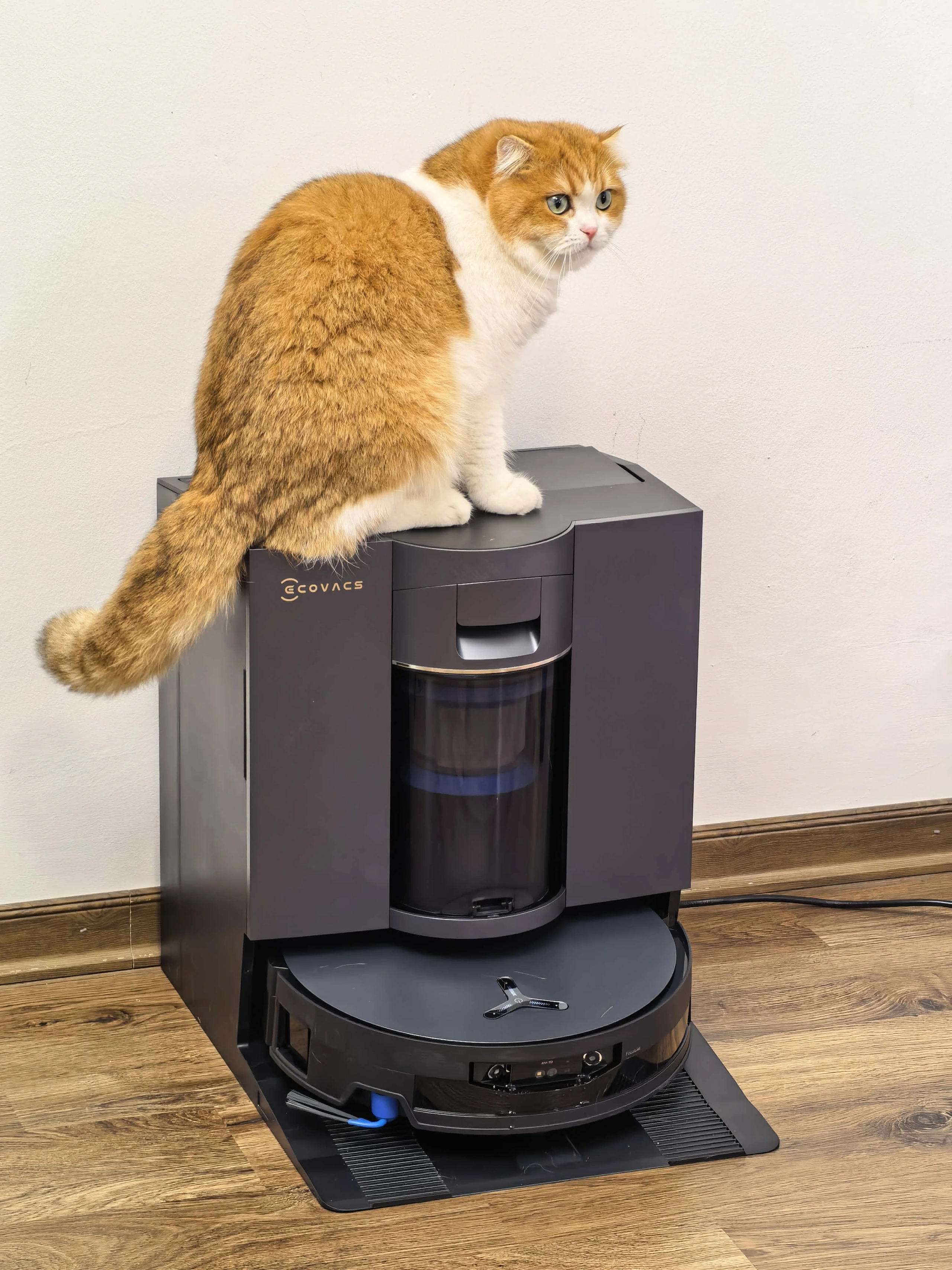 Deebot X12 OmniCyclone sẽ phù hợp với gia đình có diện tích mặt sàn rộng, nuôi thú cưng