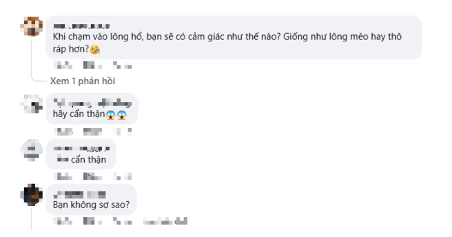 Rủi ro từ hành động quay video bên thú dữ