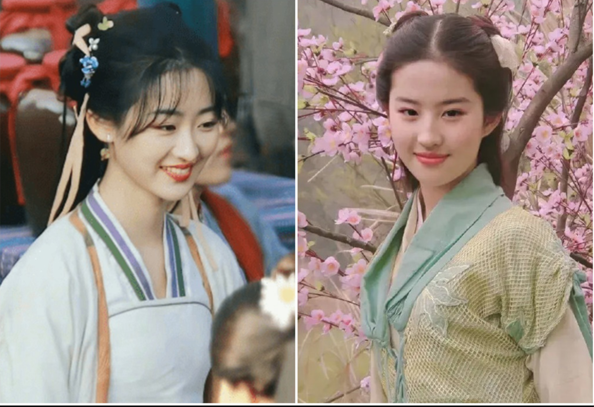 Dương Vũ Đồng từng đóng Triệu Linh Nhi