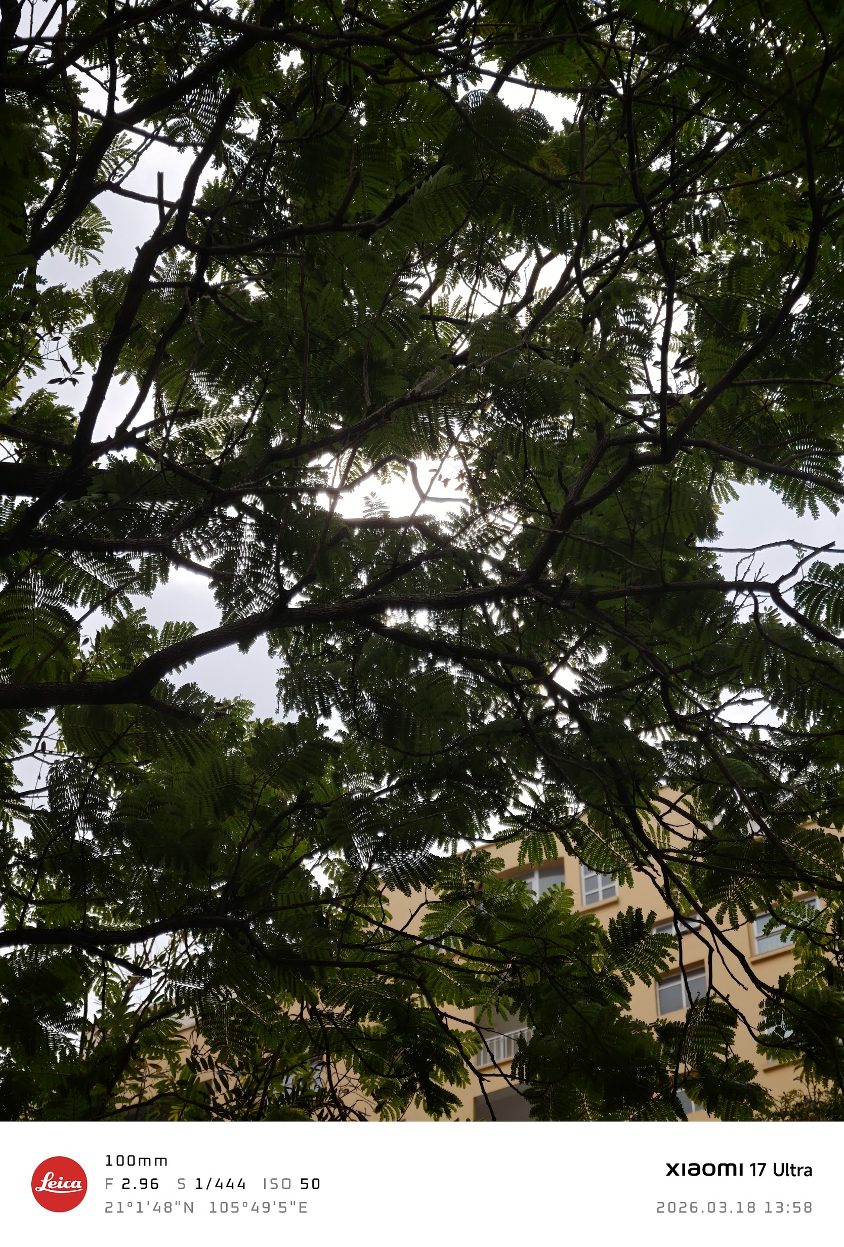 Ảnh ngược sáng so sánh