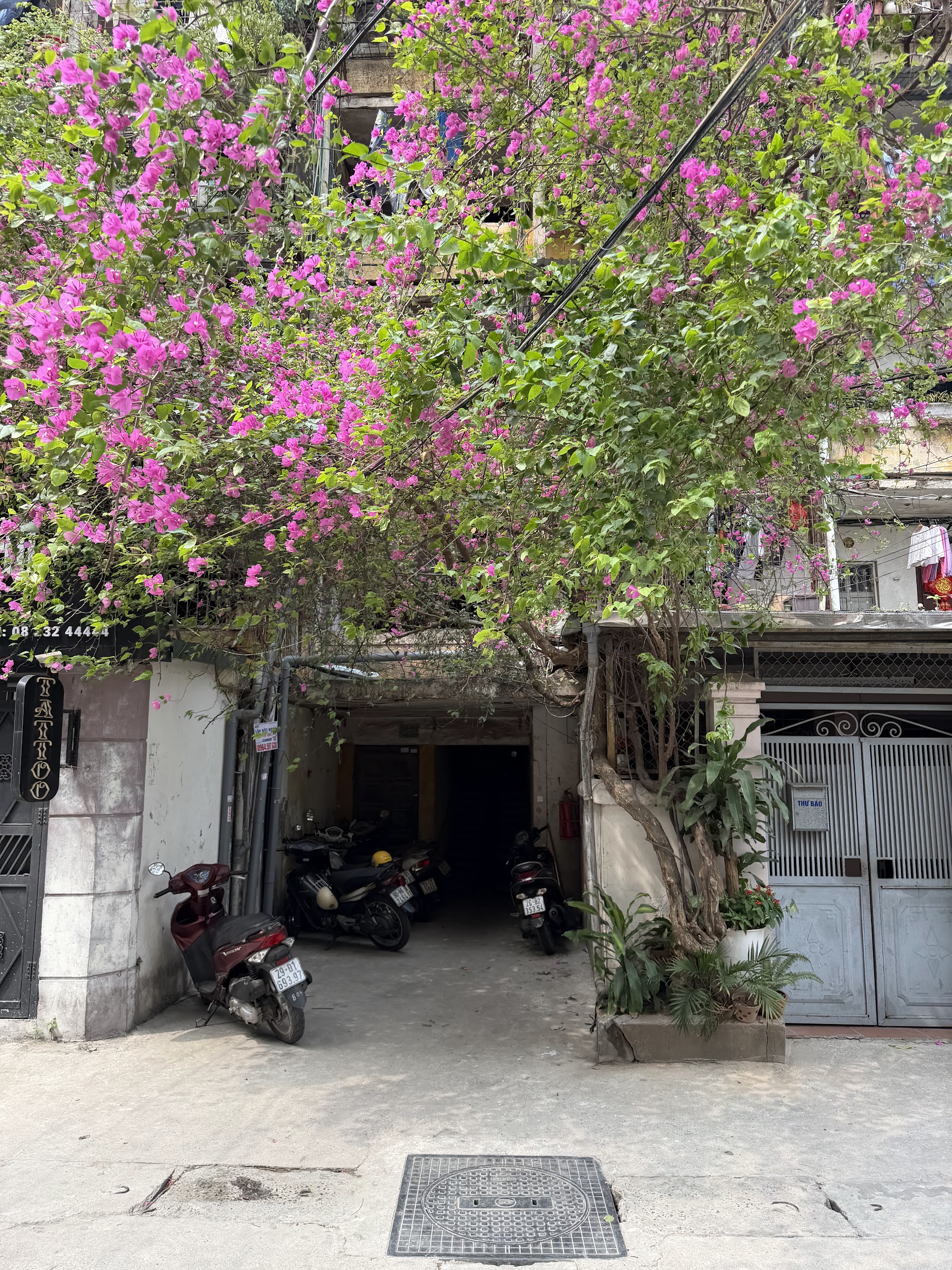 Ảnh đủ sáng iPhone