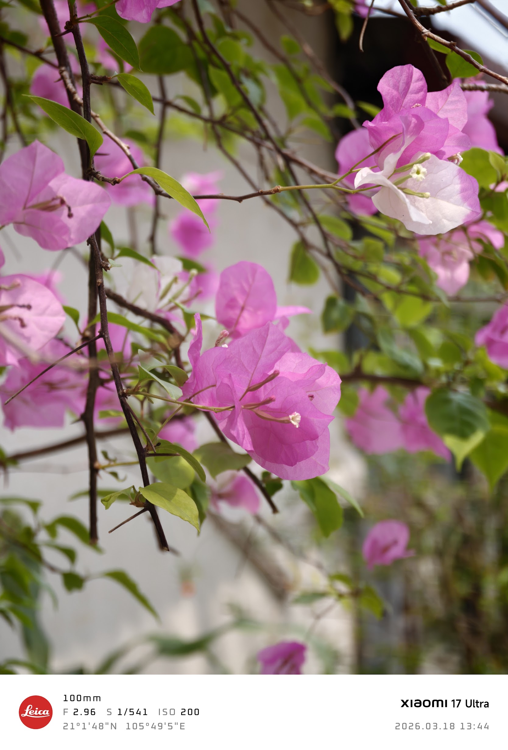 Zoom tele quang học liên tục trên smartphone cao cấp