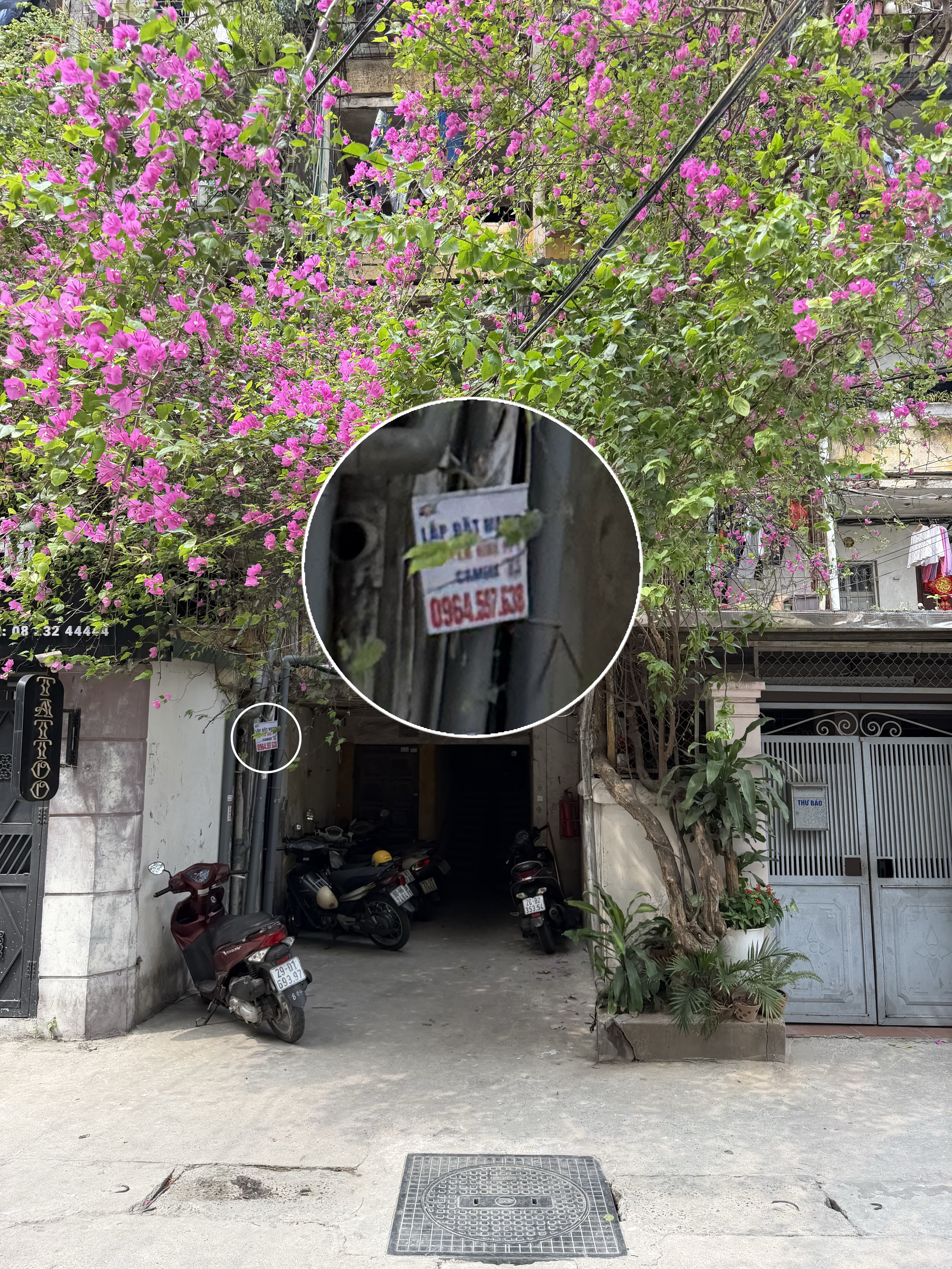 Chi tiết ảnh camera chính