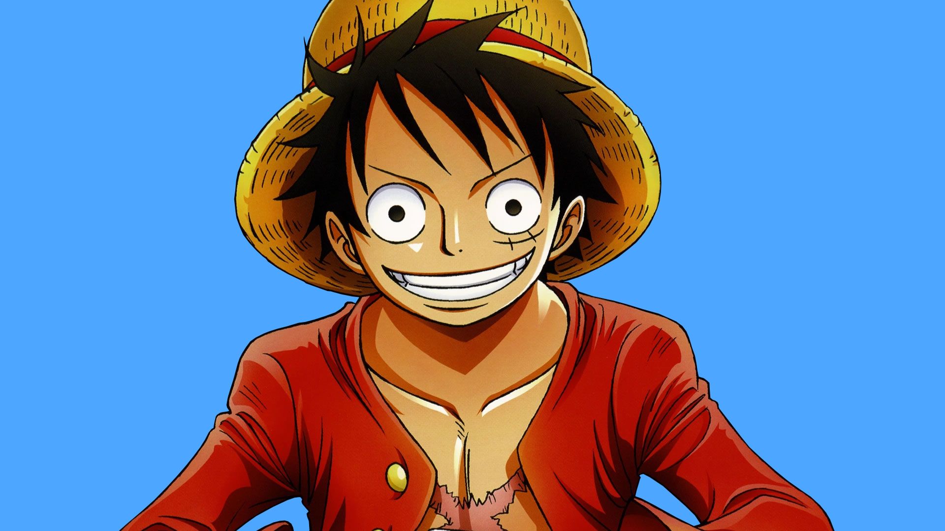 Monkey D. Luffy với chiếc mũ rơm biểu tượng