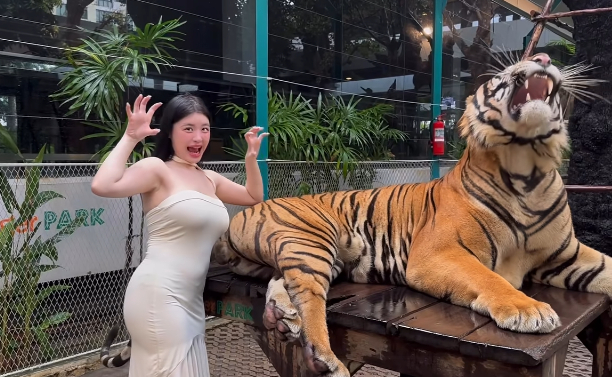 Yêu cầu an toàn khi tiếp xúc với thú dữ