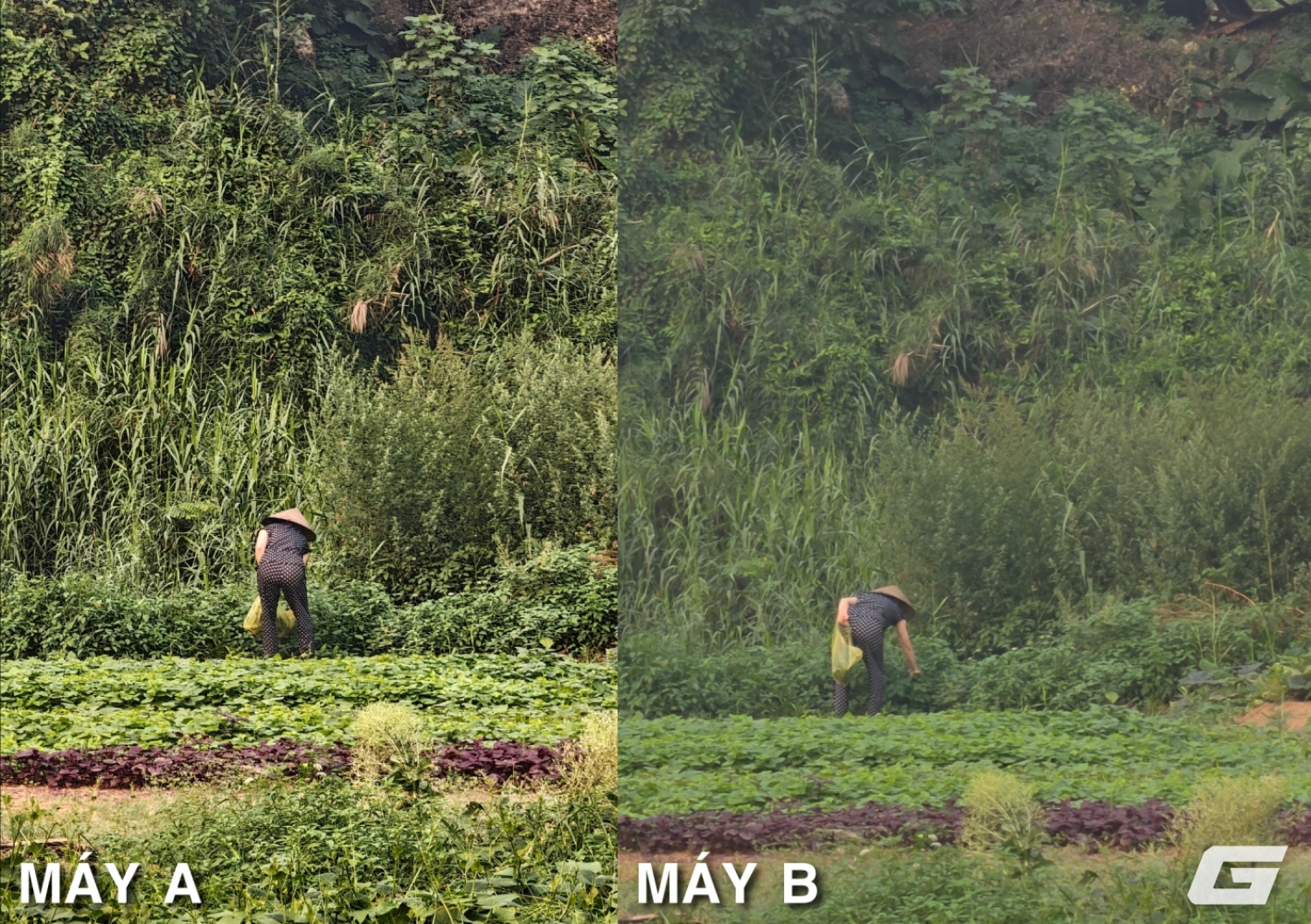 Zoom lai tối đa trên thiết bị di động cao cấp