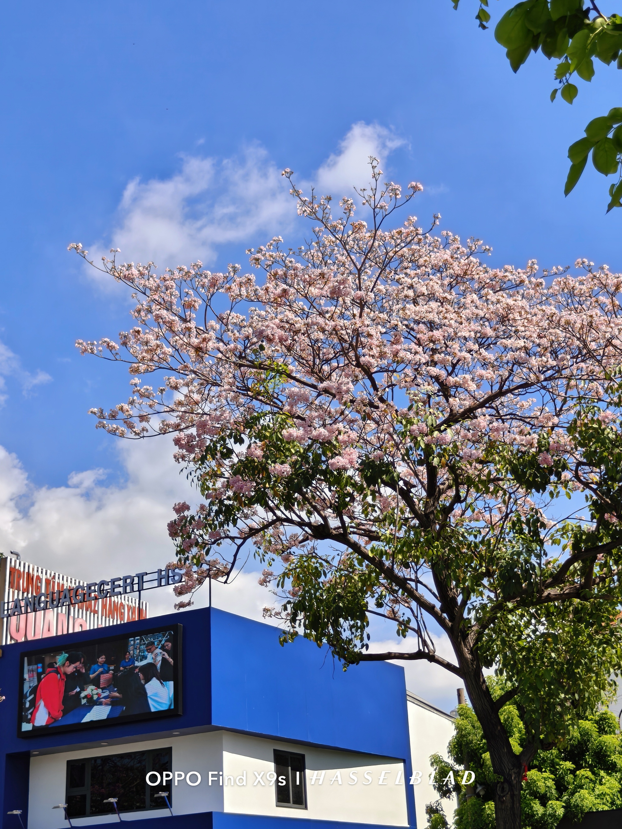 Chất lượng zoom quang học camera tele trên OPPO Find X9s vượt trội