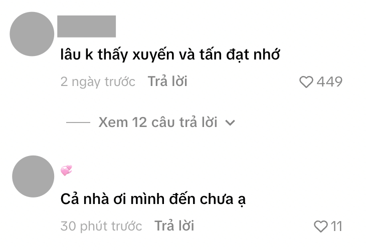 Những bình luận thắc mắc về sự im lặng của các TikToker này