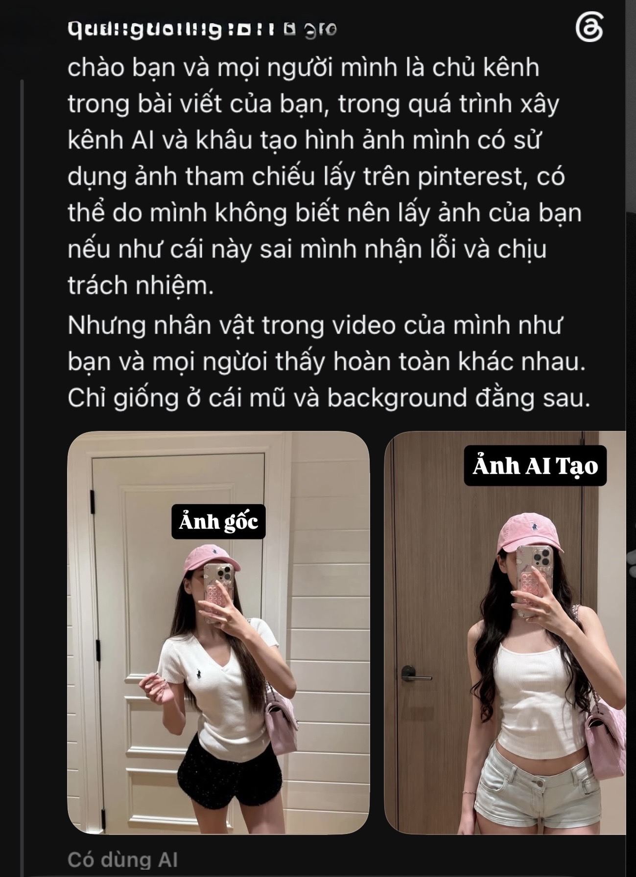 Động thái xin lỗi và gỡ bài của người sử dụng hình ảnh