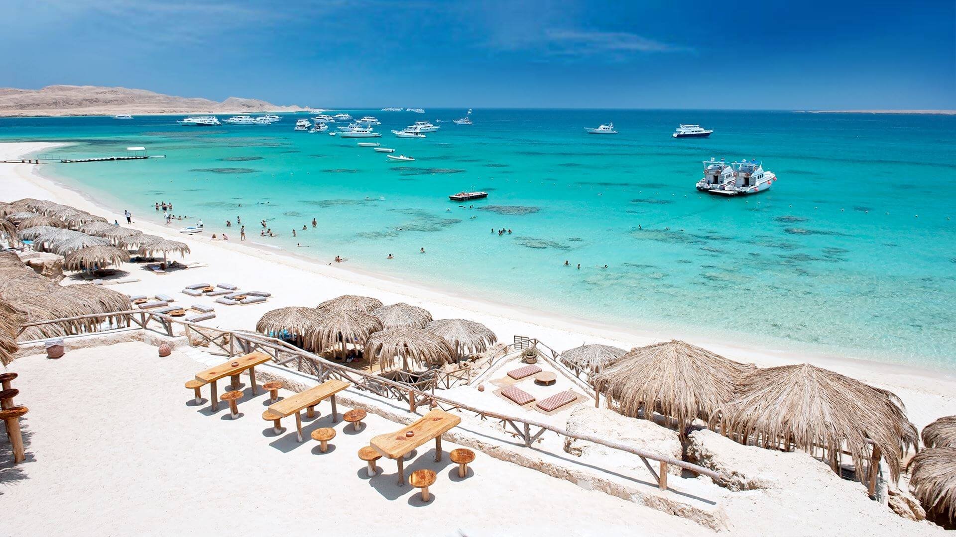 Khung cảnh cưỡi ngựa tại bãi biển Hurghada Cưỡi ngựa giữa biển ở Hurghada